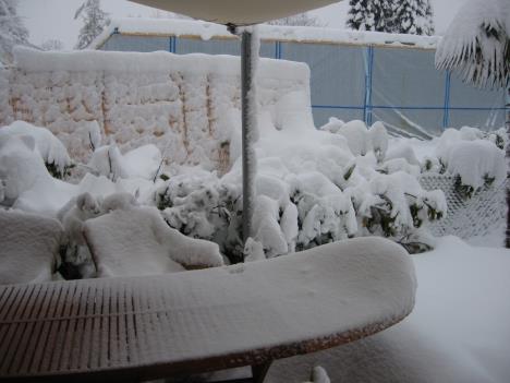 Schnee 006.jpg   22kb   26.03.2021 22:29:25